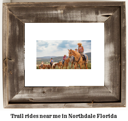 trail rides near me in Northdale, Florida